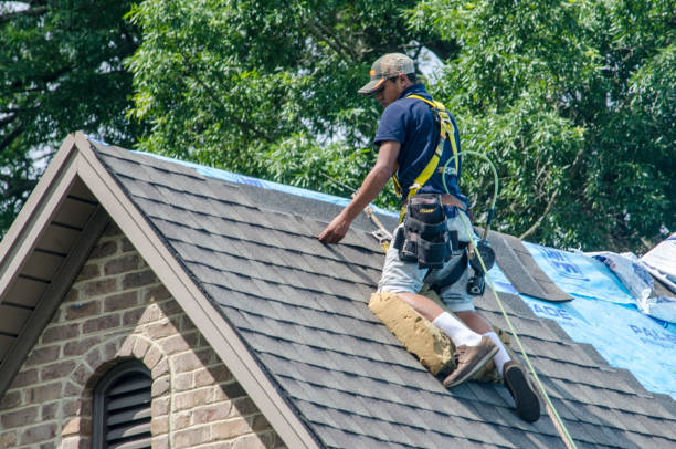 Professional Roofing Contractor in Paris, AR